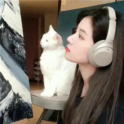 吸血鬼骑士第二季